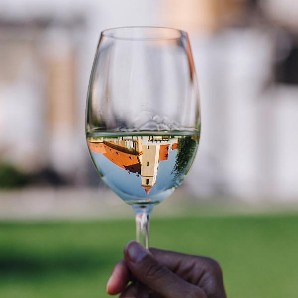VÍNO A HUDBA NA VINICÍCH, letní degustace vín, v rámci programu Zahradních slavností Český Krumlov